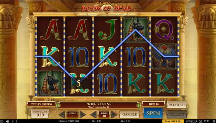 Book of Dead Gameplay