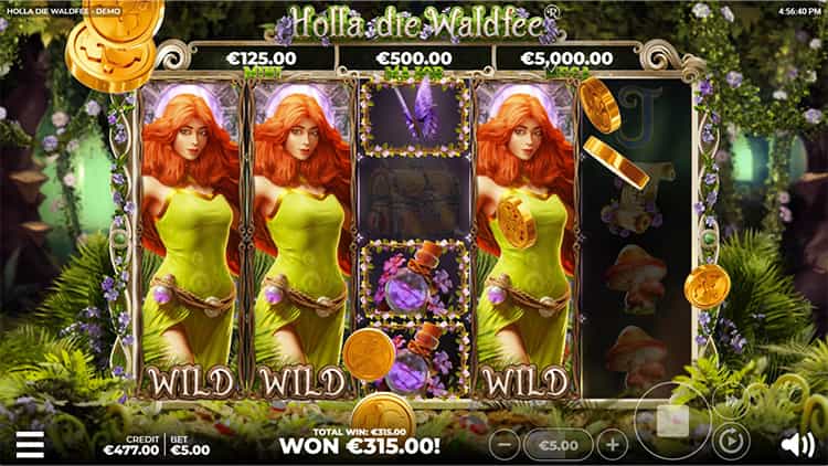 Holla die Waldfee Gameplay