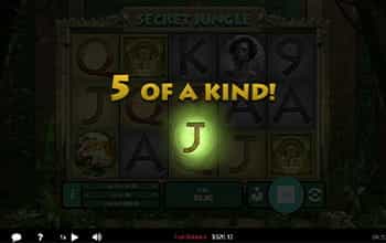 Multiplikatoren in Spielautomaten