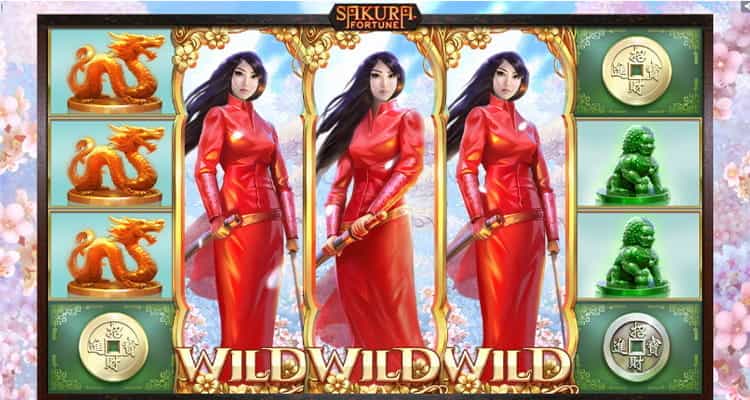 Sakura Fortune Wild