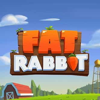 Fat Rabbit