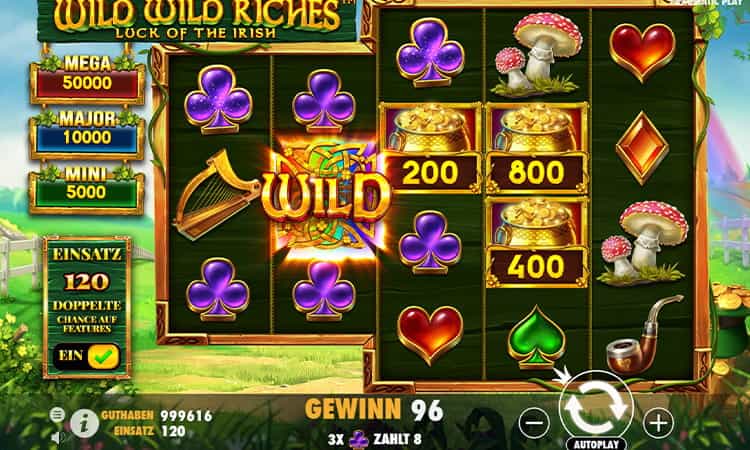 Wild Wild Riches Wild