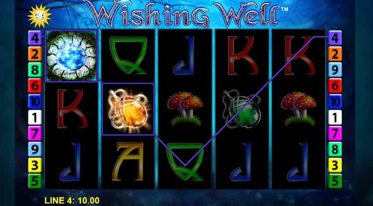 Wishing Well Wild