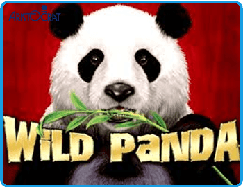 Wild Panda Preview