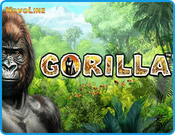 Gorilla Preview