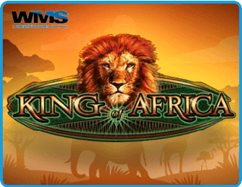 King of Africa Preview