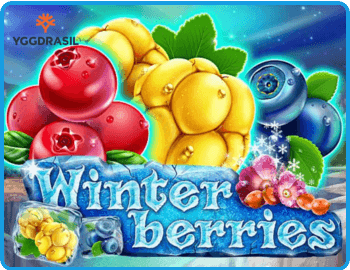 Winter Berries Preview