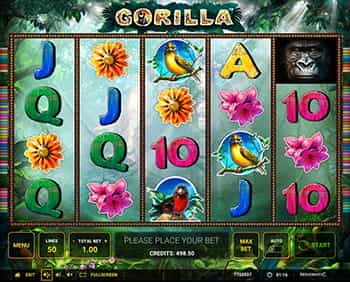 Gorilla im Stargames Casino spielen