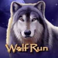 Wolf Run Spielautomat
