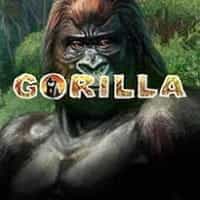 Gorilla Spielautomat
